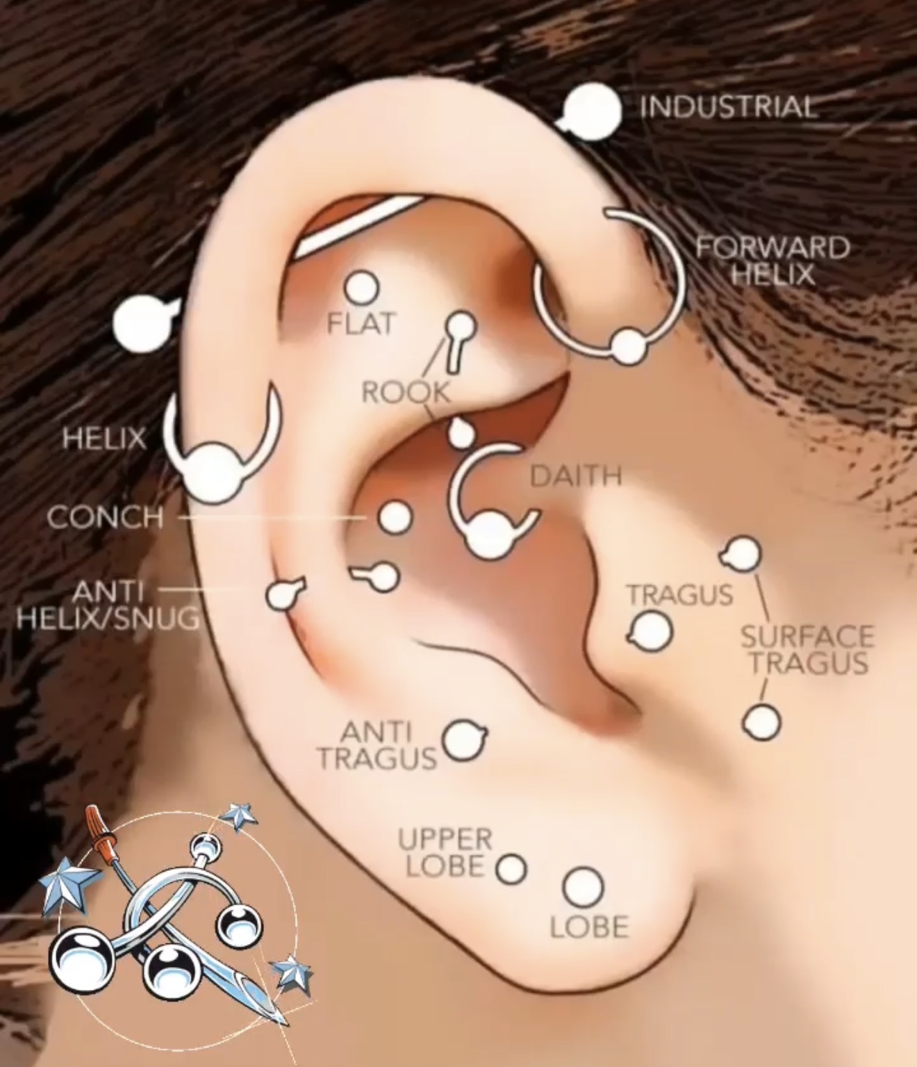 Kulak piercing bölgeleri